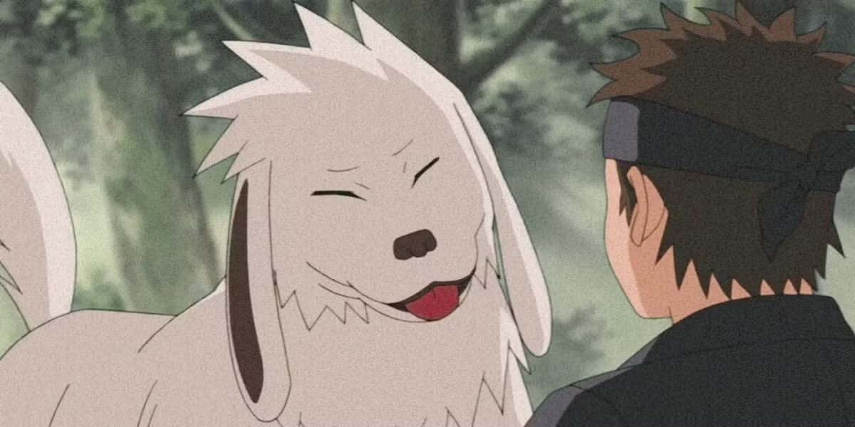 hình ảnh trong bộ truyện tranh naruto có chú chó Akamaru và Kiba