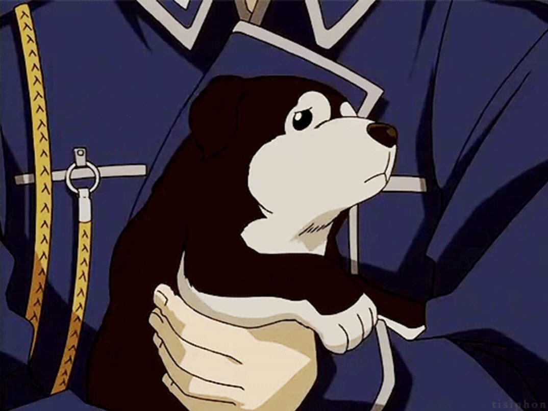 hình ảnh chú chó black hayate trông bộ anime fullmetal
