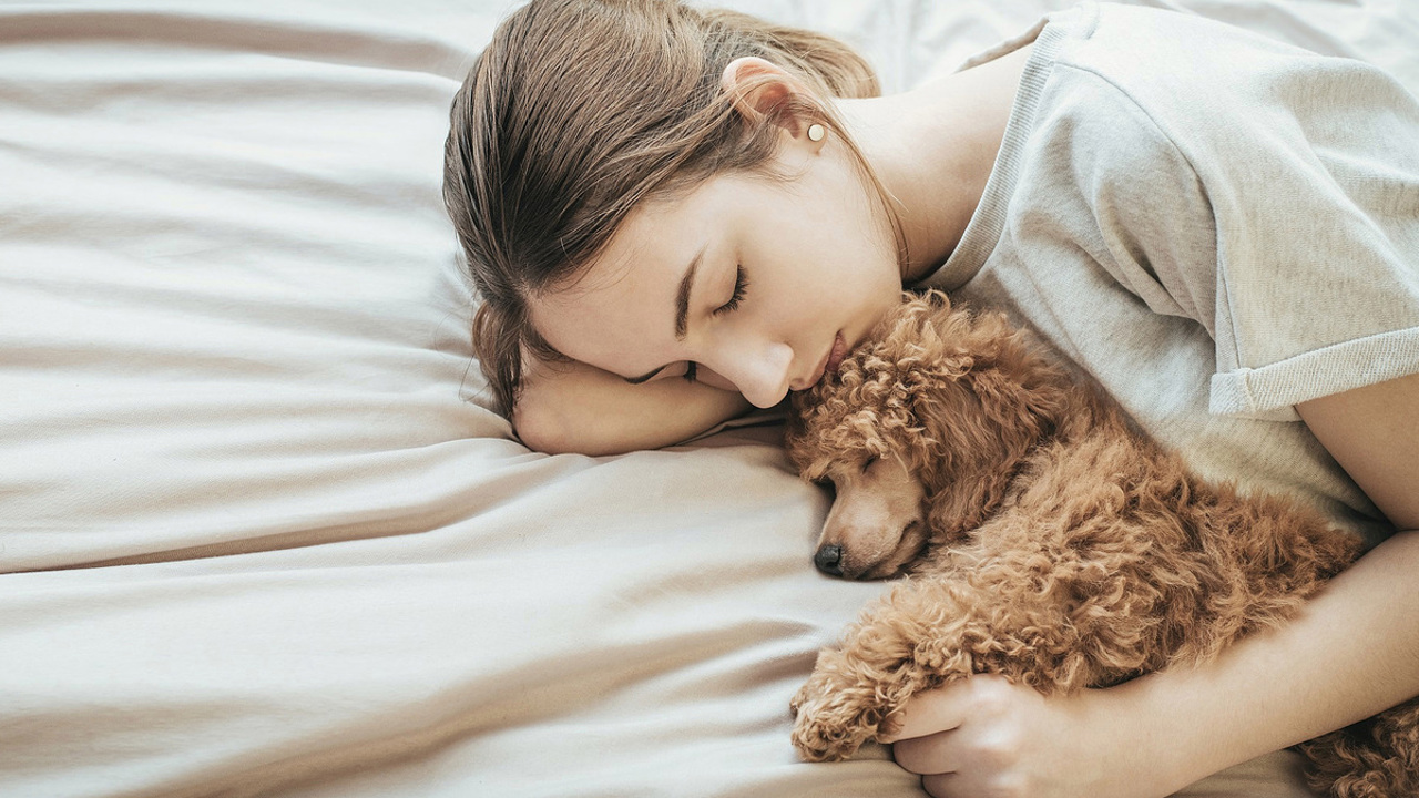 Mách bạn cách để chó con không sủa về đêm