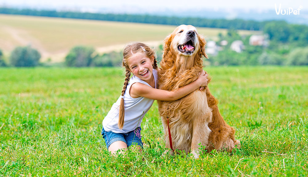 bé gái ôm chú chó golden retriever cười tươi trên bãi cỏ