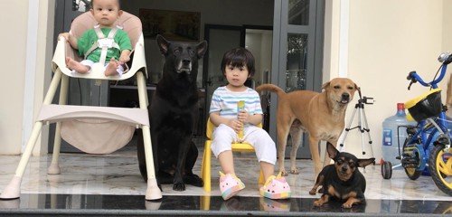 Lớn lên cùng cún yêu: bé My, anh Bi và những bài học từ gia đình Khá Đen