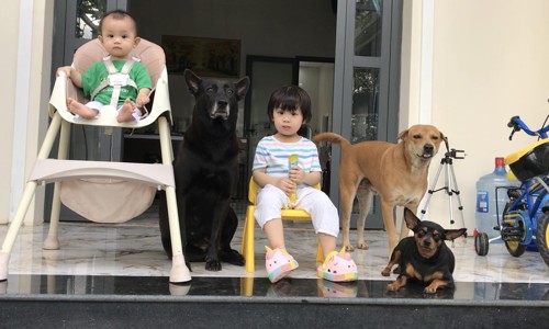 Lớn lên cùng cún yêu: bé My, anh Bi và những bài học từ gia đình Khá Đen