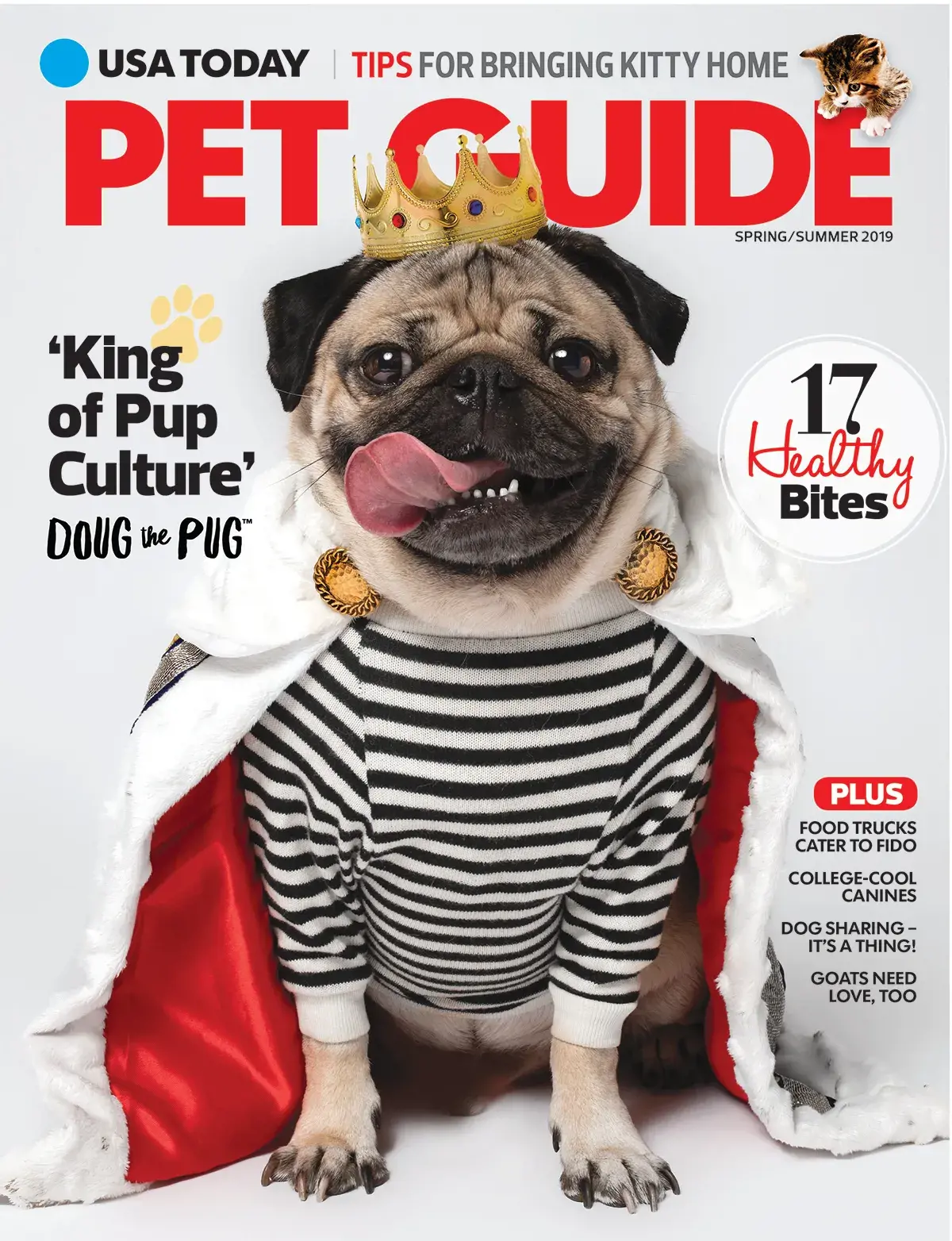 doug the pug trên trang bìa tạp chí pet guide