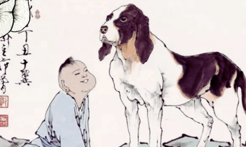 Top 7 mẹo nuôi chó dân gian độc lạ mà hiệu quả không ngờ, bạn đã biết chưa?