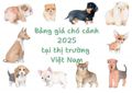 Bảng giá cập nhật các loại chó cảnh tại Hà Nội và các thành phố lớn ở Việt Nam: Hướng dẫn chi tiết 2025