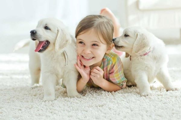 hình ảnh một bé gái cùng hai chú chó con màu trắng