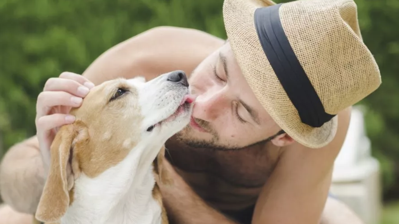 Đừng nên hôn chó kẻo mắc bệnh truyền nhiễm như chơi