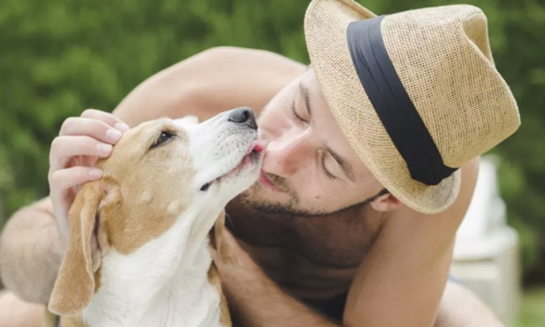 Đừng nên hôn chó kẻo mắc bệnh truyền nhiễm như chơi