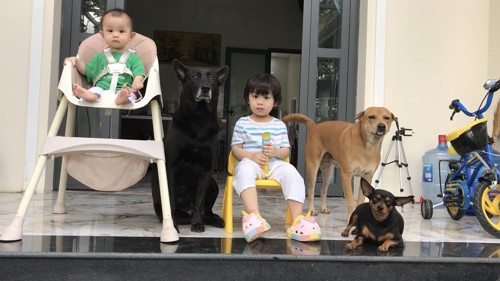 /kien-thuc/gia-dinh-kha-den-lon-len-cung-cun-yeu