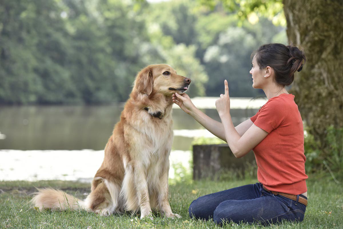hình ảnh cô gái nâng mặc áo đỏ nâng cằm chú chó