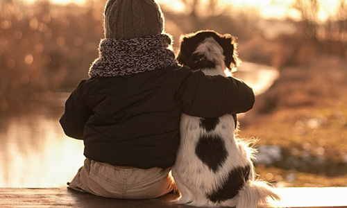 5 câu chuyện về những chú chó trung thành nổi tiếng thế giới