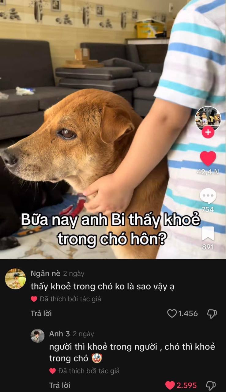 hình ảnh cắt từ video bé my hỏi anh bi có thấy khoẻ trong chó hôn